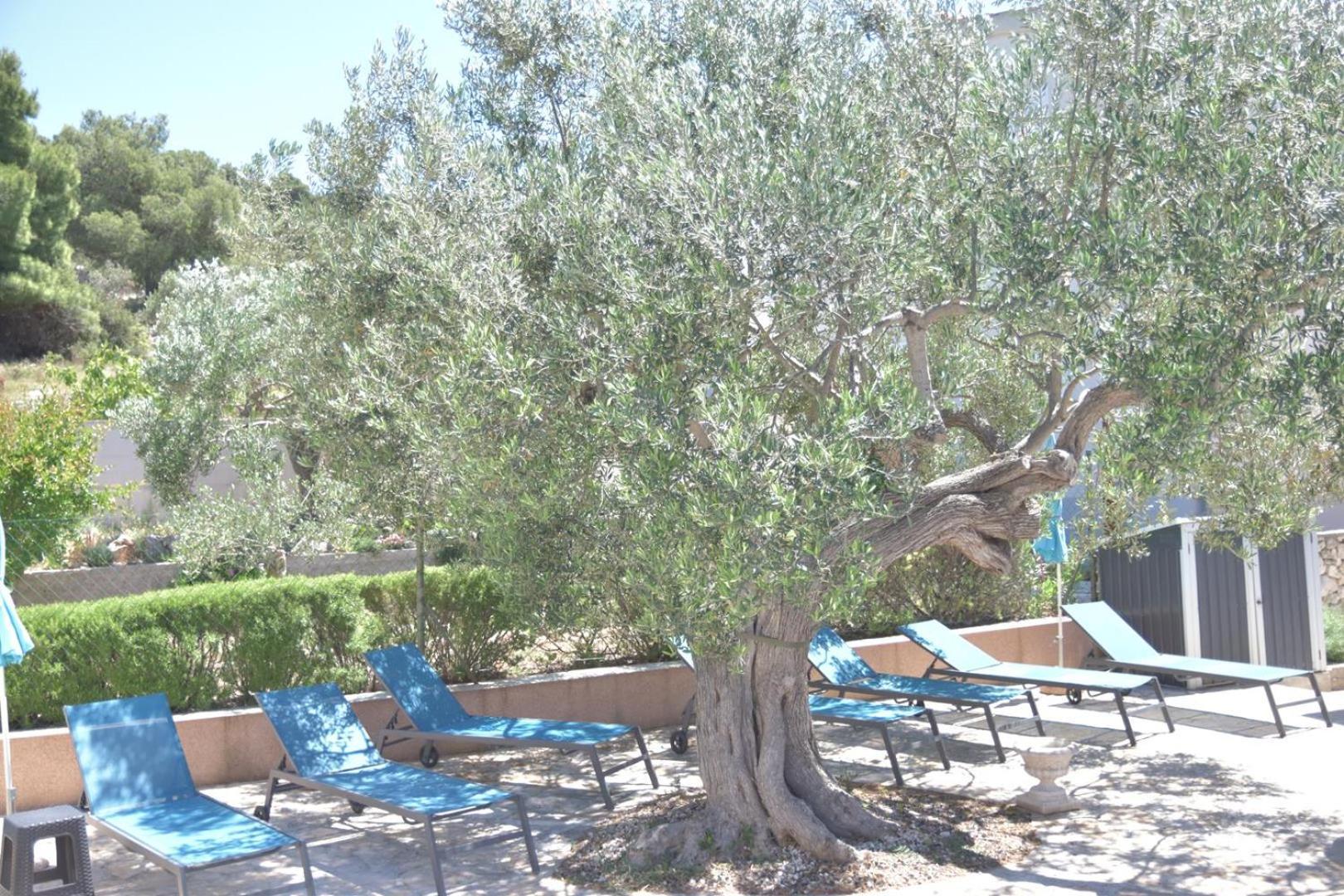 Villa Luger Eg Ražanj Εξωτερικό φωτογραφία