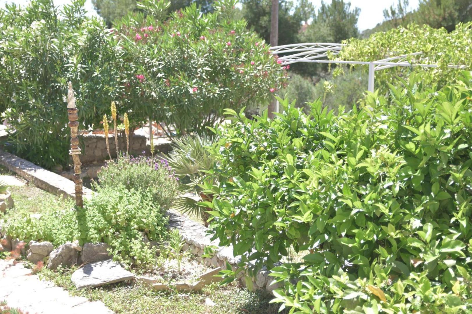 Villa Luger Eg Ražanj Εξωτερικό φωτογραφία